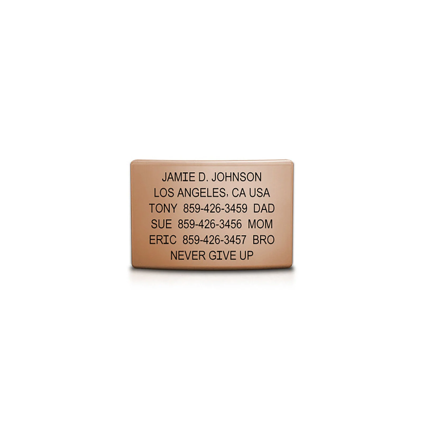 Classic ID Faceplate - Image 18