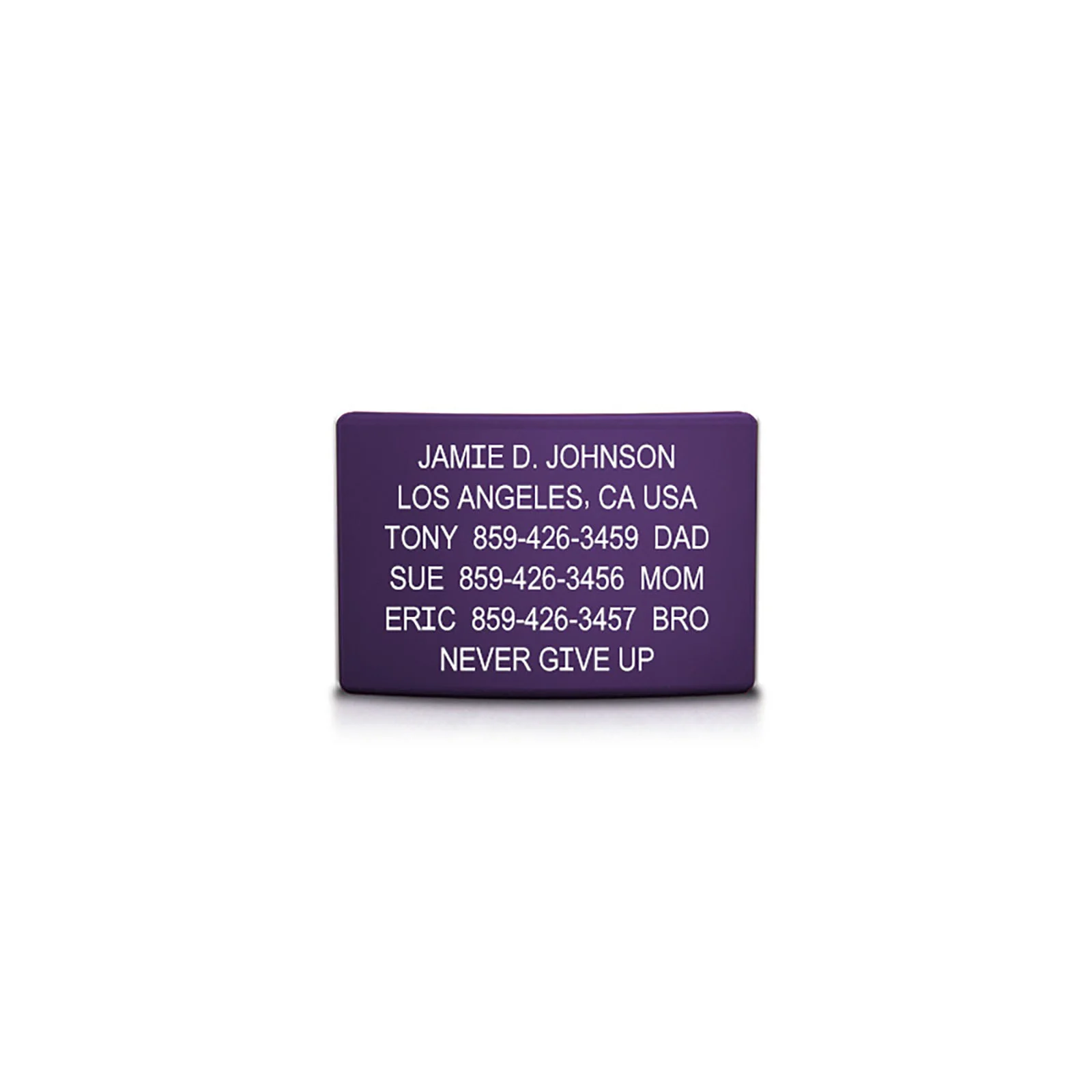 Classic ID Faceplate - Image 20