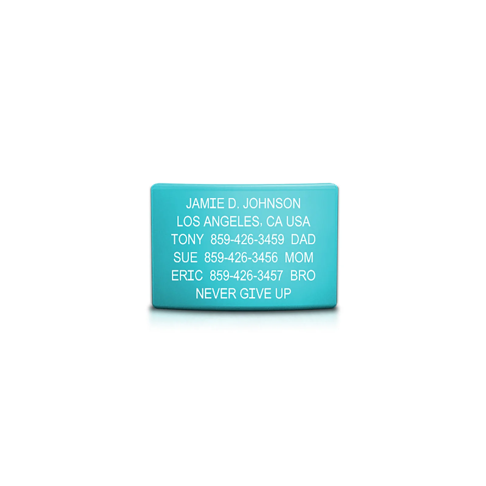 Classic ID Faceplate - Image 22